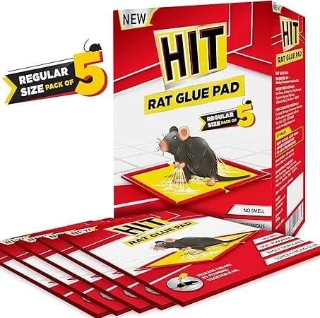 HIT Rat Glue Pad Pack of 5 | Strong Adhesive Mouse Trap | Odourless & Ready to Use | Non-Toxic Sticky Rat Catcher for Home, Kitchen & Office - Buy Online at Indezaar